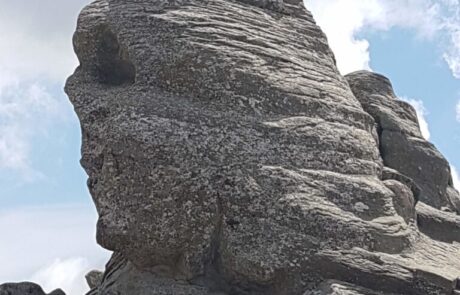 20180812_115113-scaled-768×1024