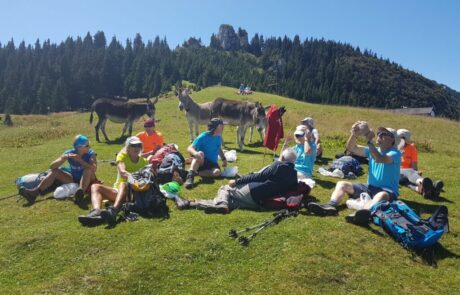 20180814_131018-scaled-1024×768