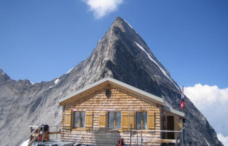 2460_1331480700_aig-verte-13-juin-2006-124-950×713