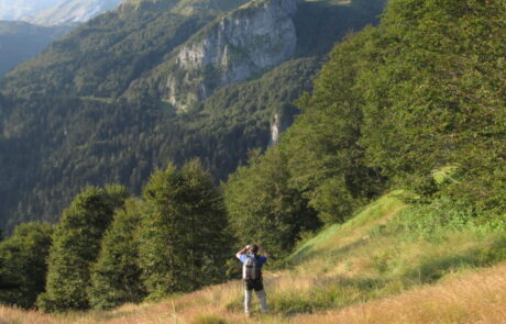 BOSQUE-DE-ESPELUNGUERE-scaled-1024×768