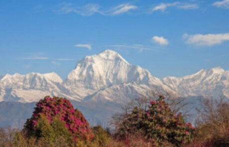 DHAULAGIRI (1)