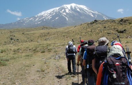 DSC_0009-3-1024×682