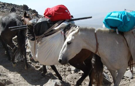 DSC_0063-scaled-1024×471