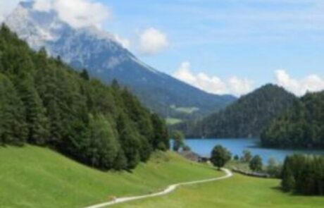 El-alderwerg-2-e1581345425882-300×200-1-300x200_600x400