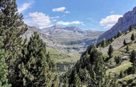 IMG_20200802_120359-scaled-1024×476