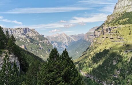 IMG_20200802_120708-scaled-1024×479