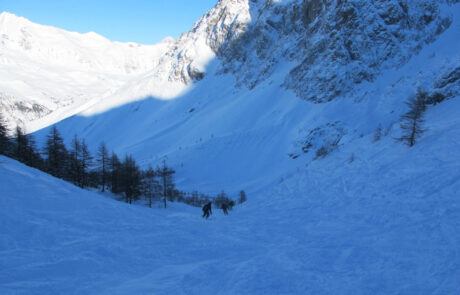 IMG_2243-e1609751696299-800×510