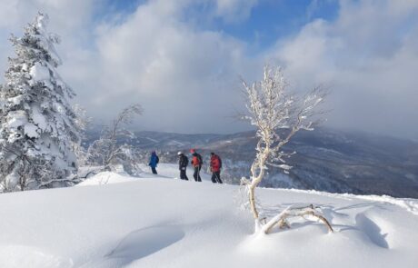 Japon-WEB-4-1024×767