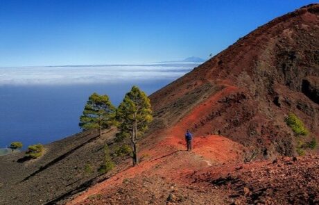 La-Palma-570×427