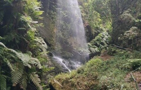 La-Palma-JCV-6-476×634