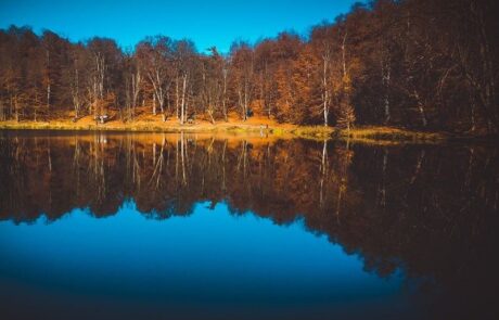 Lago-Gosh-818×514