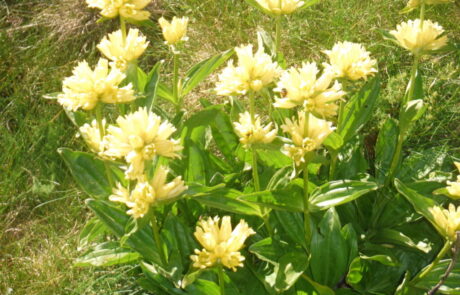 Senda-Contrabandistas-1-2-scaled-1024×768