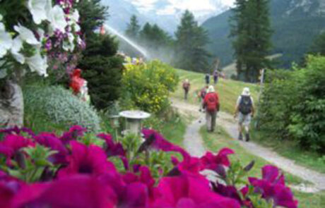 Tour-del-Monte-Rosa-3-300×225-1-300×225