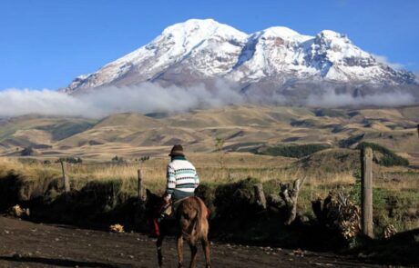 WhatsApp-Image-2019-03-03-at-13.38.51-2-970×640