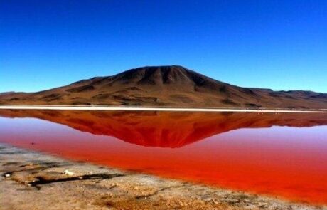 laguna-colorada-550×366