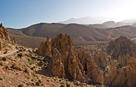 oulilimitex-850×232